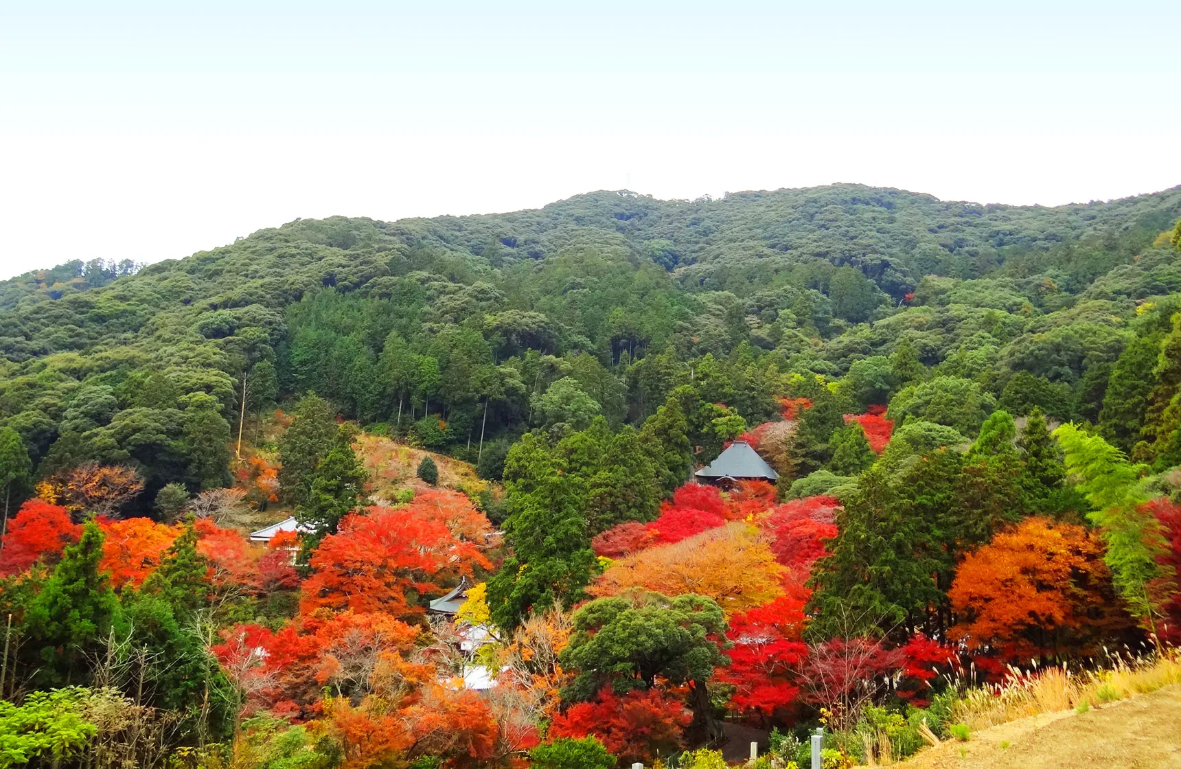 樹木葬(桜墓苑)からの眺望